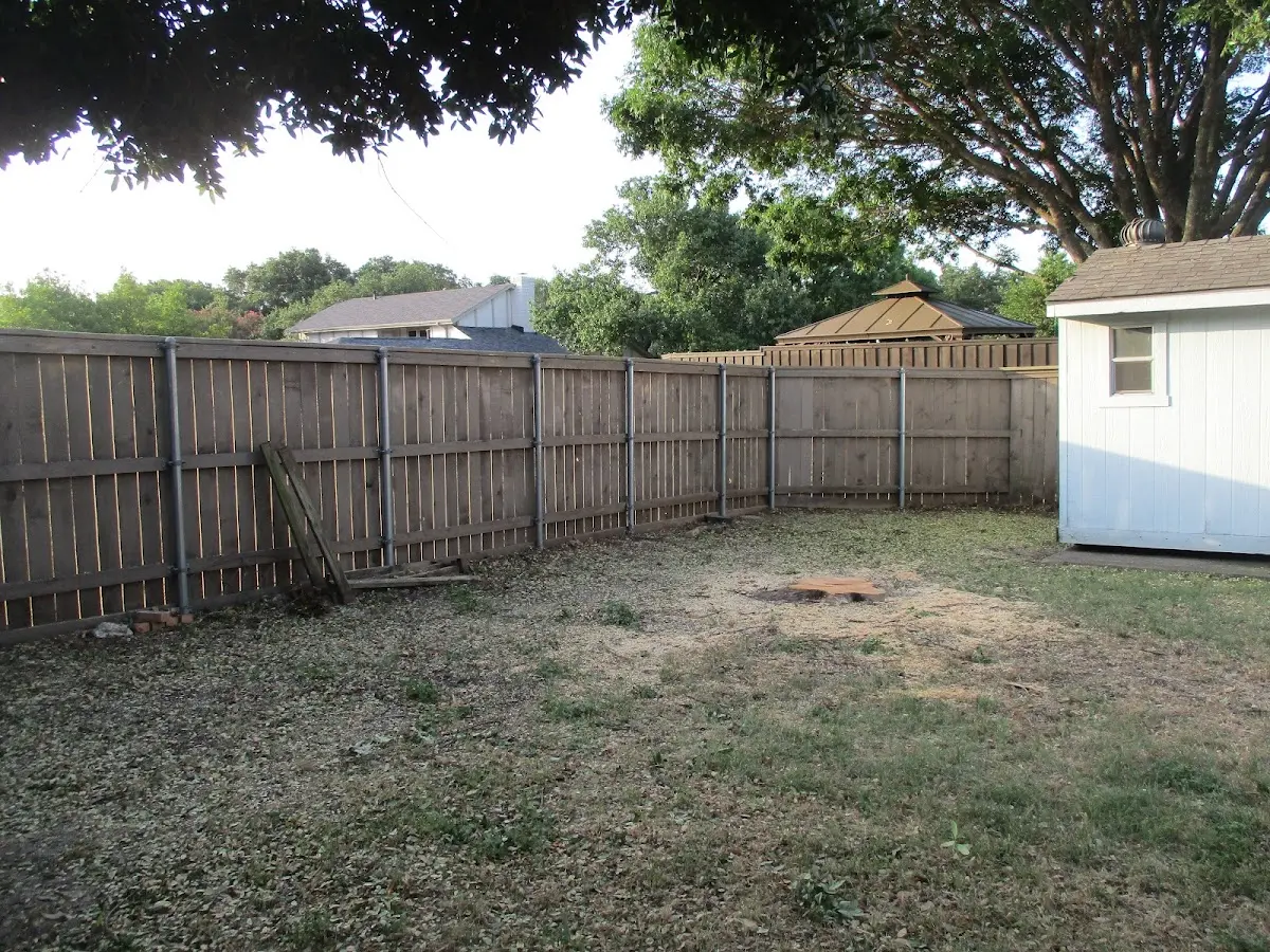 Cleared yard after professional tree removal in Dayhoit
